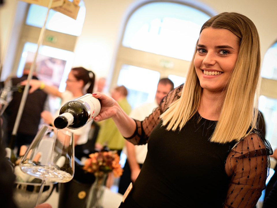 Salon VinDel SNG MB 7
