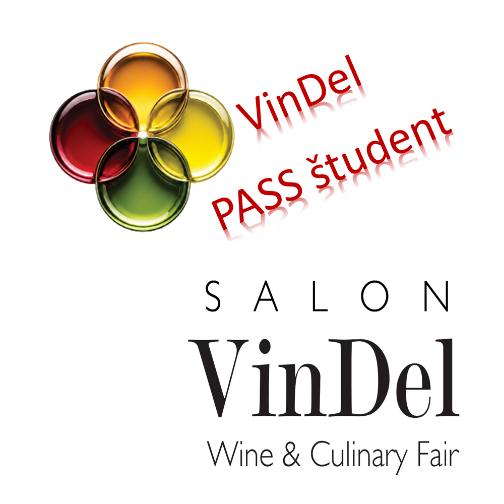 VinDel PASS student logo1
